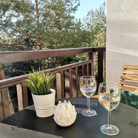 Mitrovic Lux Apartman *