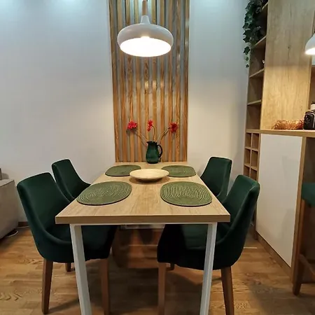 Mitrovic Lux Apartment