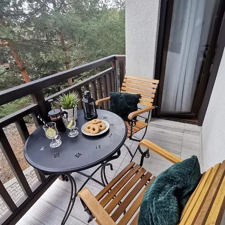 Apartment Mitrovic Lux